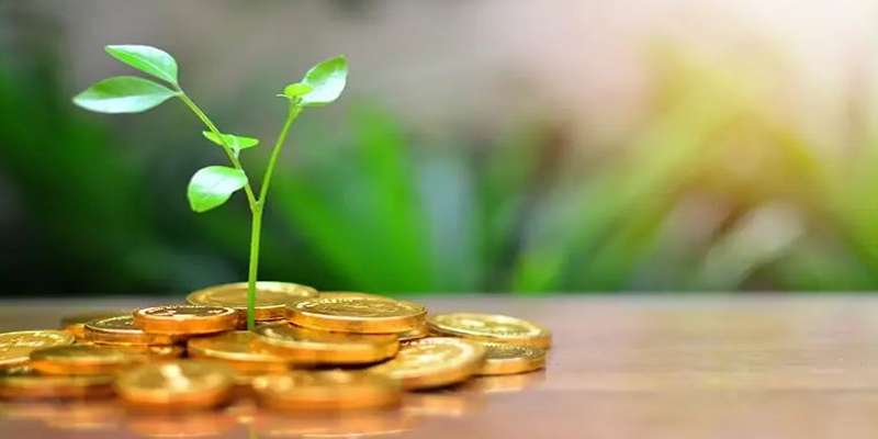 gold coins